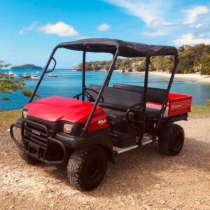 Carrito de Golf para 6 personas x horas