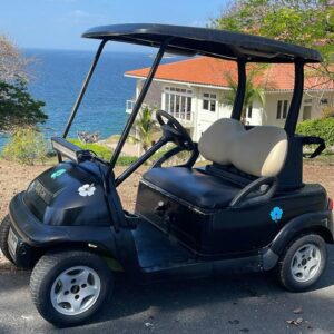 Carrito de Golf para 2 personas x horas
