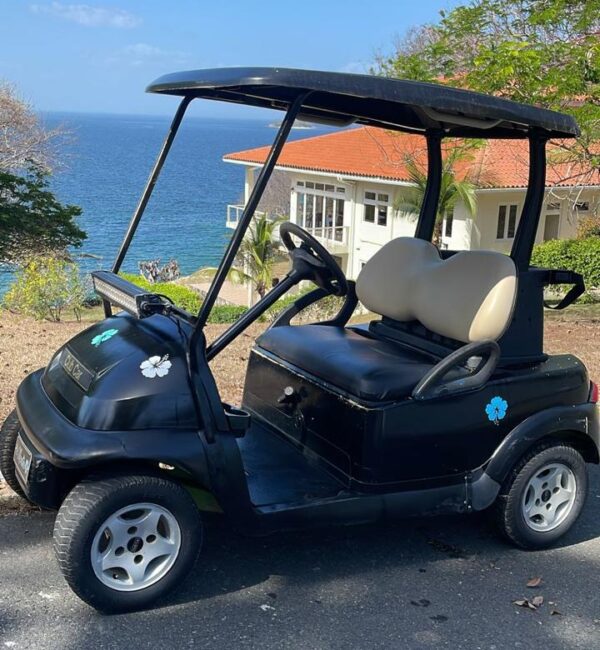 Carrito de Golf para 2 personas x horas